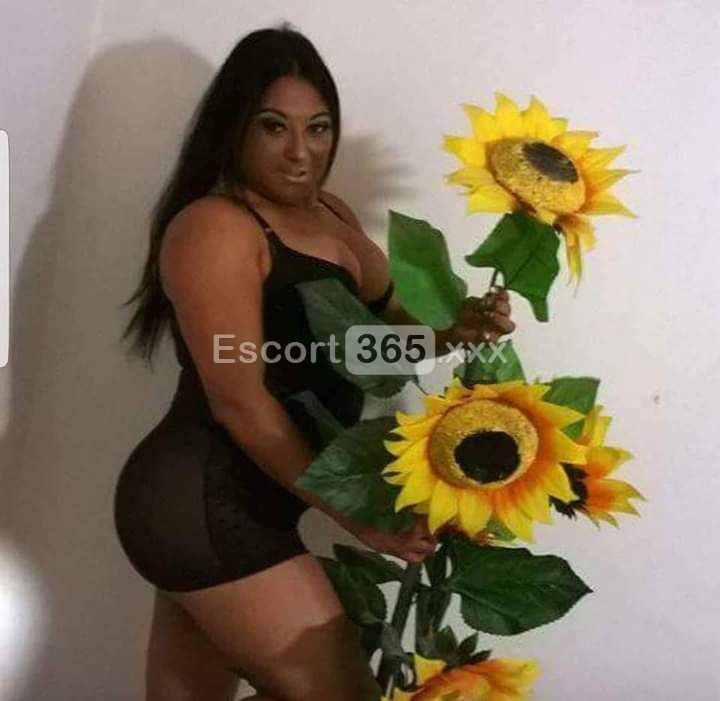 Gabriella - Trans a Bologna - Foto 35
