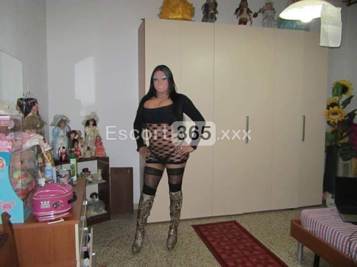 Gabriella - Trans a Bologna - Foto 36