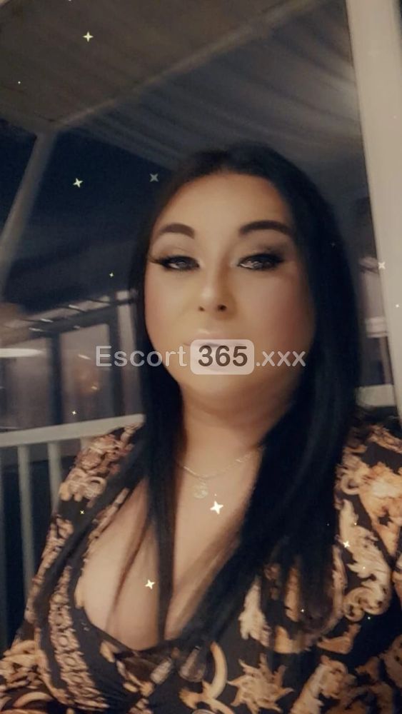 Gabriella - Trans a Bologna - Foto 37