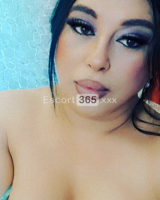 Gabriella - Trans a Bologna - Foto 41
