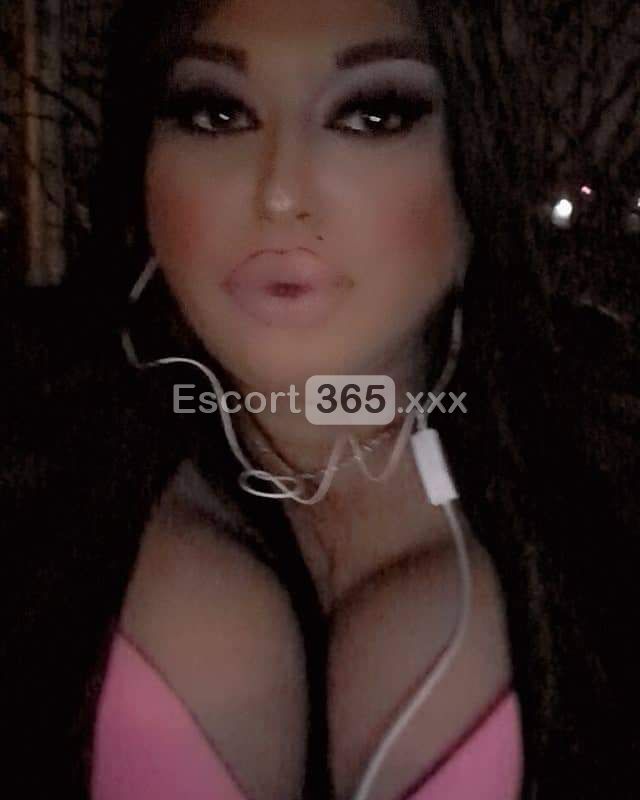 Gabriella - Trans a Bologna - Foto 42