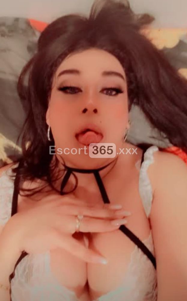 Gabriella - Trans a Bologna - Foto 60