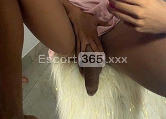 Gabriella - Trans a Bologna - Foto 83