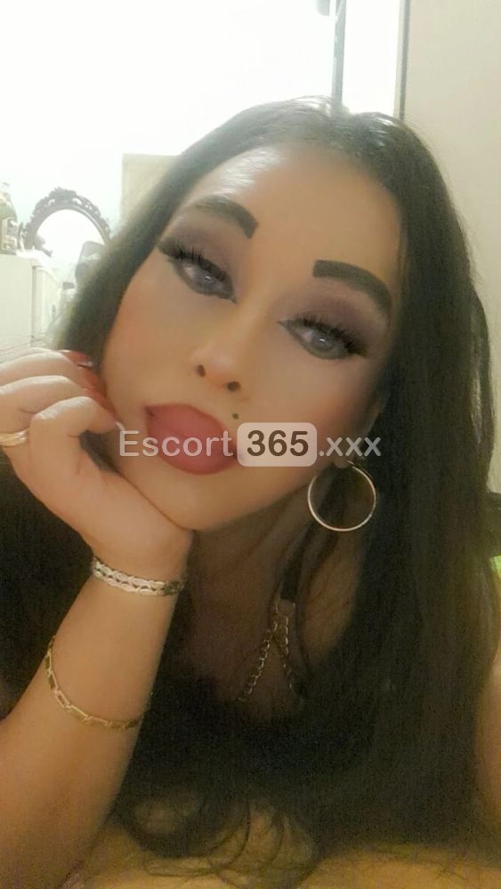 Gabriella - Trans a Bologna - Foto 86