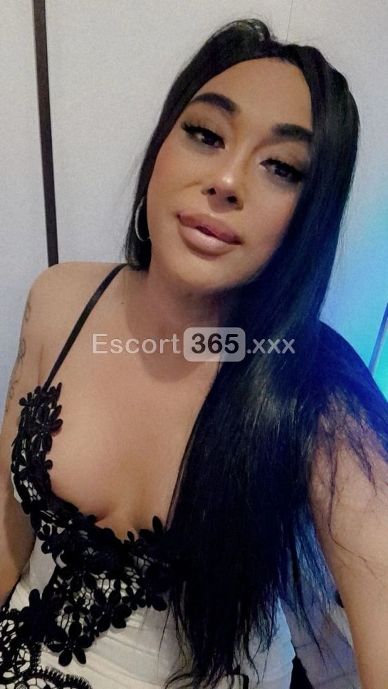 Gabriella - Trans a Bologna - Foto 87