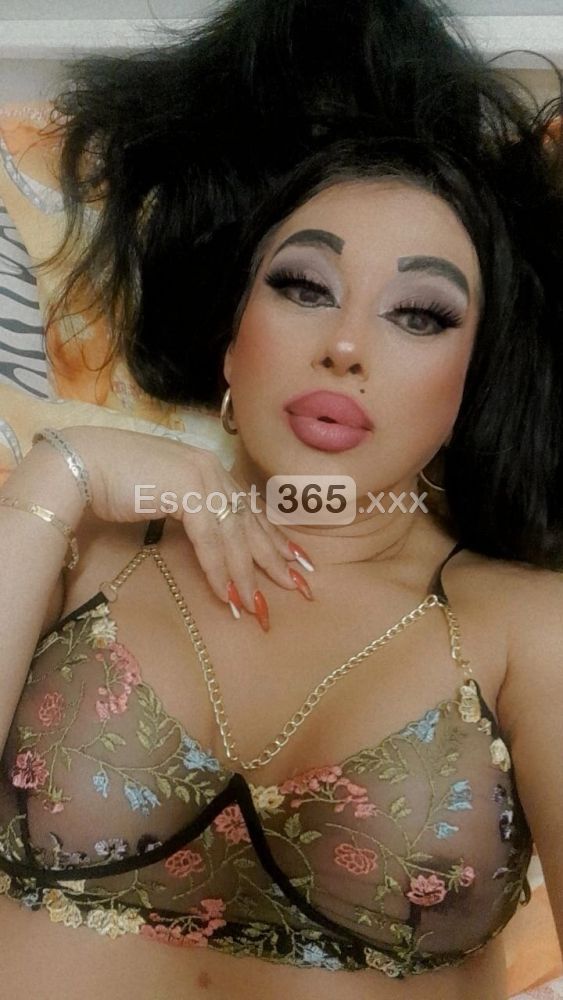 Gabriella - Trans a Bologna - Foto 90