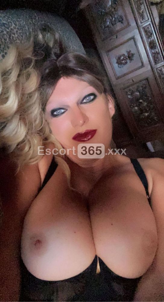 Eva: Sesso Perversione e Gola Profonda - Trans a Madone - Foto 21