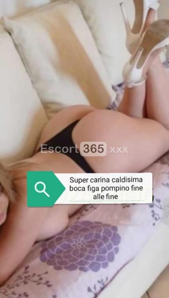Katerina: Passione Sfacciata e Bocca di Lusso - Escort a Pisa - Foto 4
