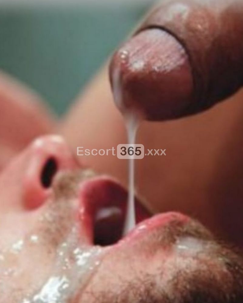 Laura: Bellezza Esplosiva e Piacere da 20 CM - Trans a Vicenza - Foto 3