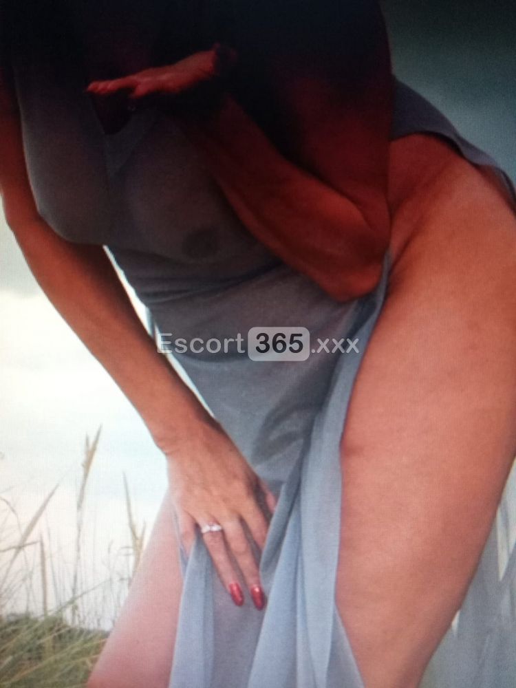Carolina: Incontri a Domicilio - Escort a Sesto Calende - Foto 4