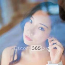 Sofia: Completa e Finale Esplosivo Escort Prata di Pordenone: annunci, incontri e recensioni reali di Vip Escort, Escort, Pornostar, Trans, Massaggi, Mistress, Coppie e Orientali.