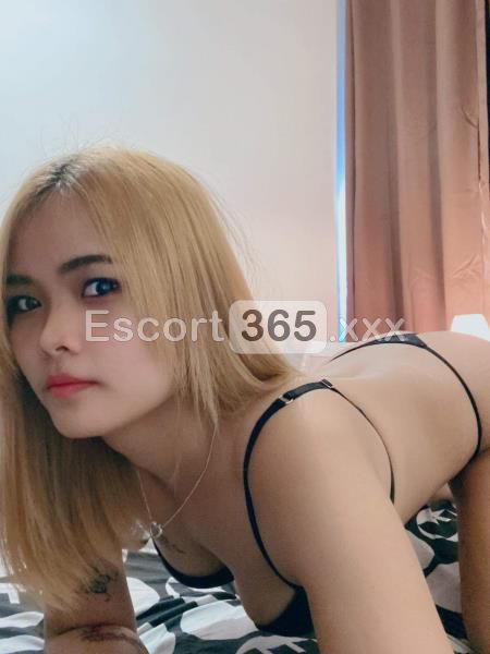 Meena Thai: Vivi Un Sogno Thailandese - Orientali a Verona - Foto 2