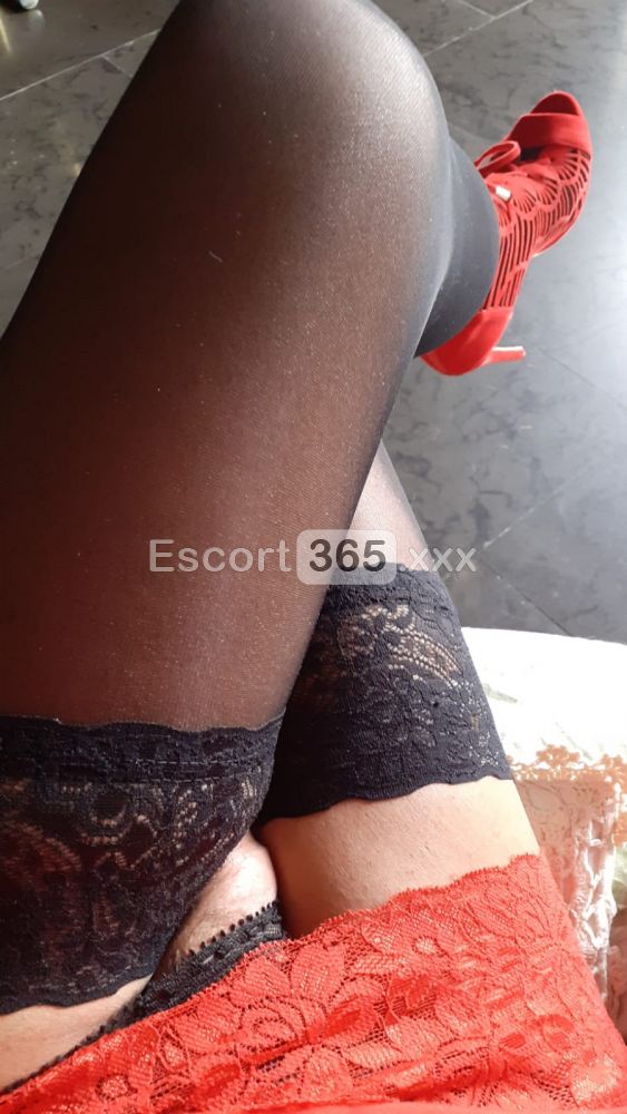 Marianna: Vivi un Erotismo di Alta Classe - Trans a Udine - Foto 5