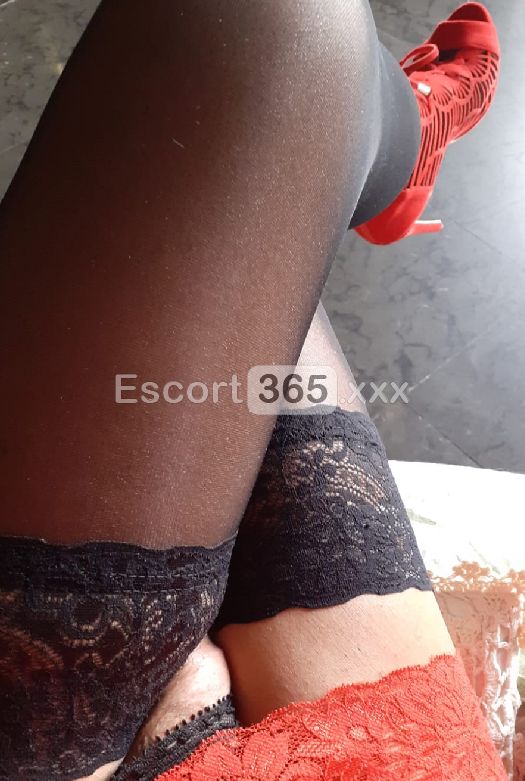 Marianna: Vivi un Erotismo di Alta Classe - Trans a Udine