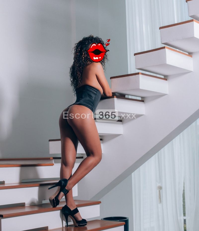 Clary: Massaggio Corpo a Corpo - Escort a Santa Lucia di Piave - Foto 5