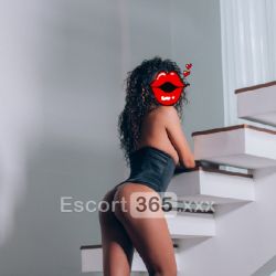 Clary: Massaggio Corpo a Corpo Escort Santa Lucia di Piave: annunci, incontri e recensioni reali di Vip Escort, Escort, Pornostar, Trans, Massaggi, Mistress, Coppie e Orientali.
