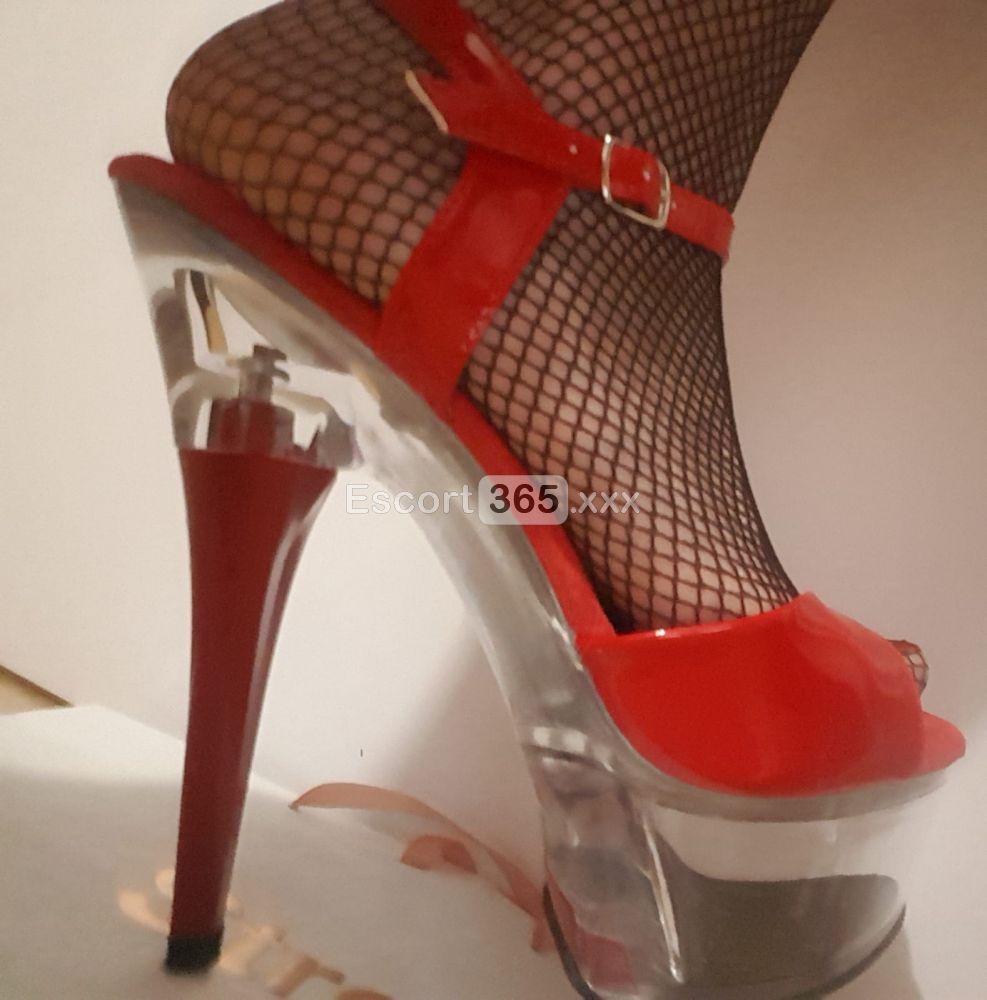 Regina del Piacere: Sovrana - Escort a Bergamo - Foto 10