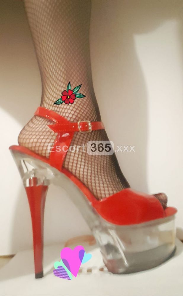Regina del Piacere: Sovrana - Escort a Bergamo - Foto 1