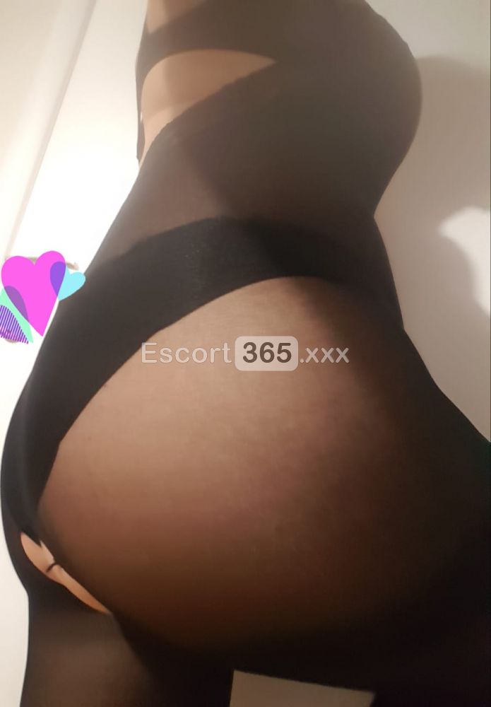 Regina del Piacere: Sovrana - Escort a Bergamo - Foto 5