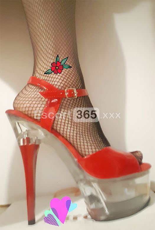 Regina del Piacere: Sovrana - Escort a Bergamo