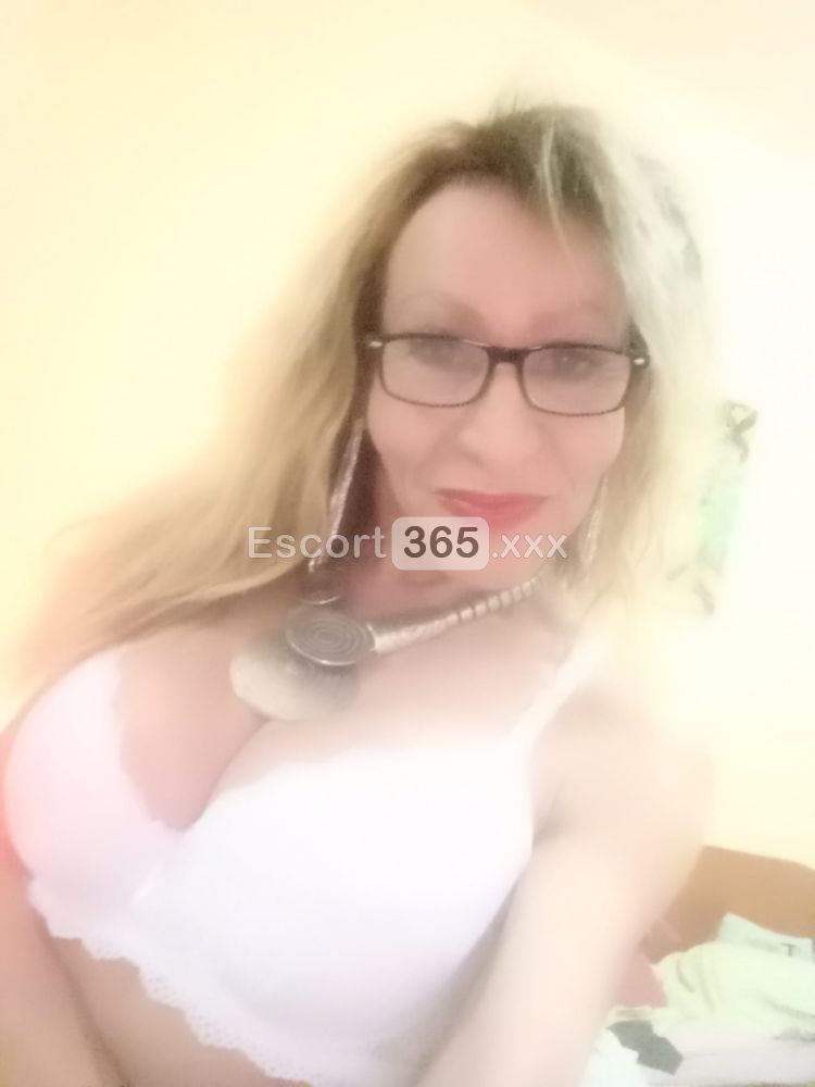 Joana: Insaziabile e Versatile - Trans a Fermo - Foto 9