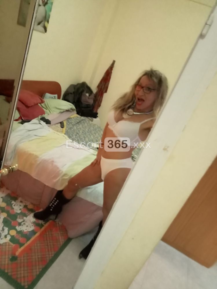 Joana: Insaziabile e Versatile - Trans a Fermo - Foto 10