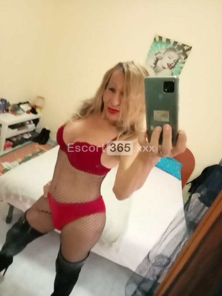 Joana: Insaziabile e Versatile - Trans a Fermo - Foto 18