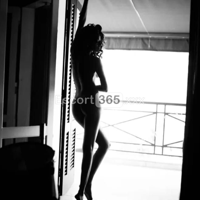 Lara: Bellezza e Sensualità - Escort a Verona - Foto 4