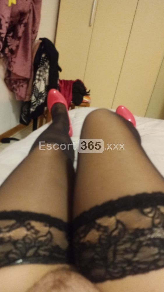 Monica: Amante del Piacere - Escort a Carisio - Foto 5