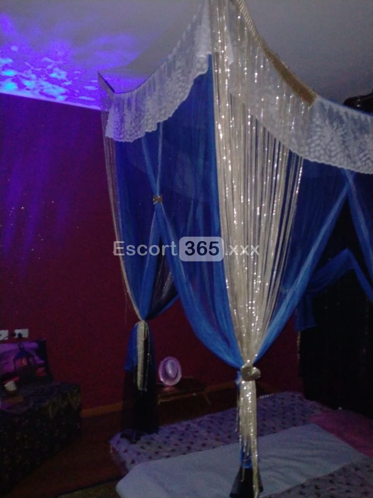 Lady AntiStress: Gentile e Glamour - Massaggi Erotici a Monza - Foto 3