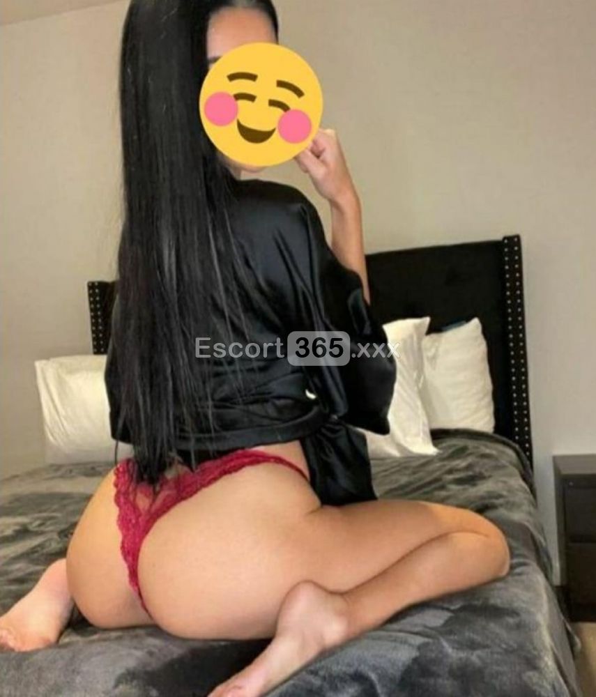 Nicol: Brillante e Intelligente - Escort a Arezzo - Foto 3