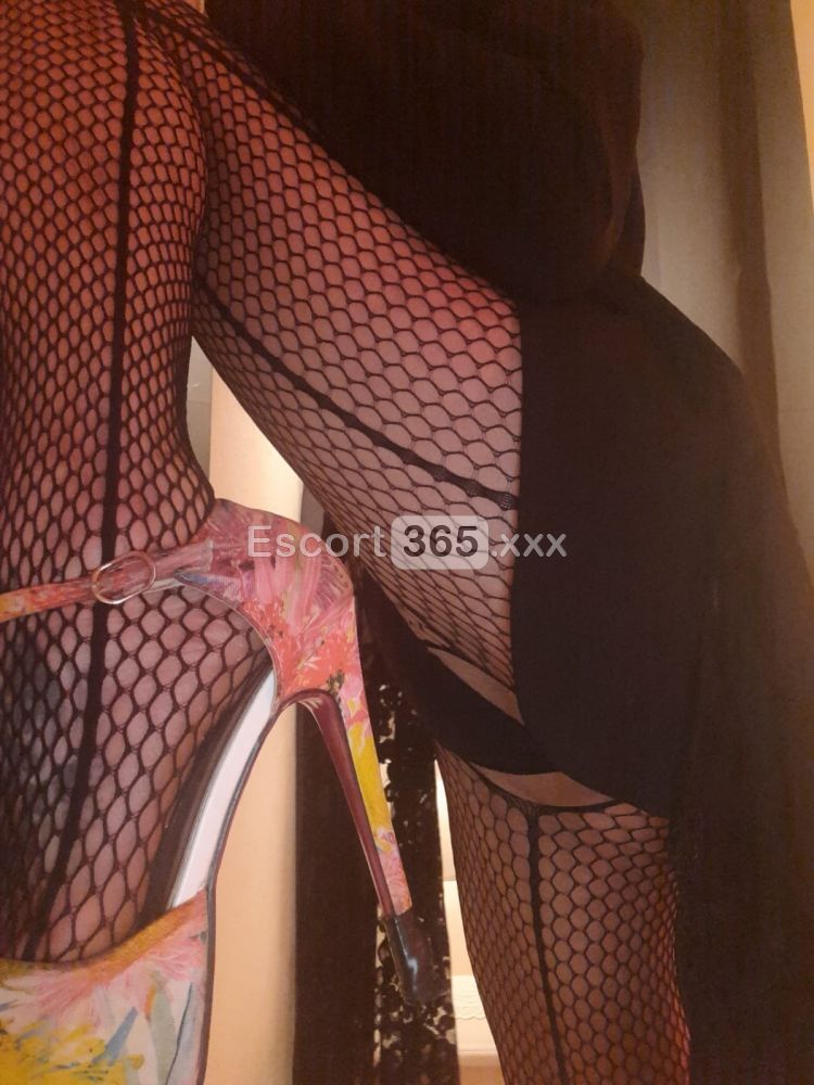 Rossella: Donna Dolcissima - Escort a Bussolengo - Foto 2