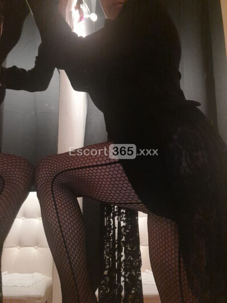 Rossella: Donna Dolcissima - Escort a Bussolengo - Foto 3
