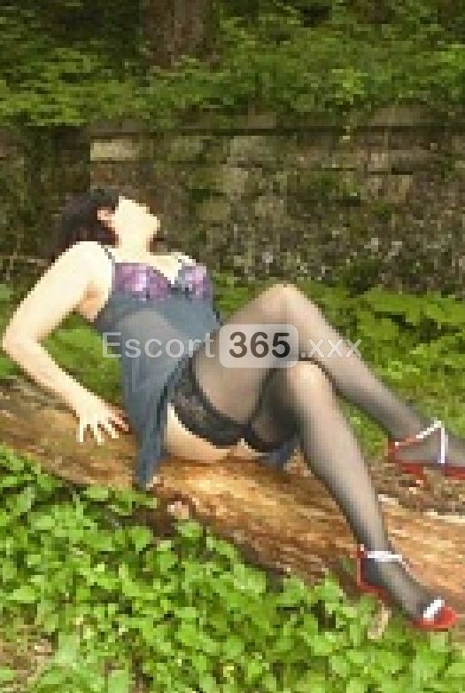 Sofia: Socievole e Premurosa - Escort a Creazzo - Foto 5