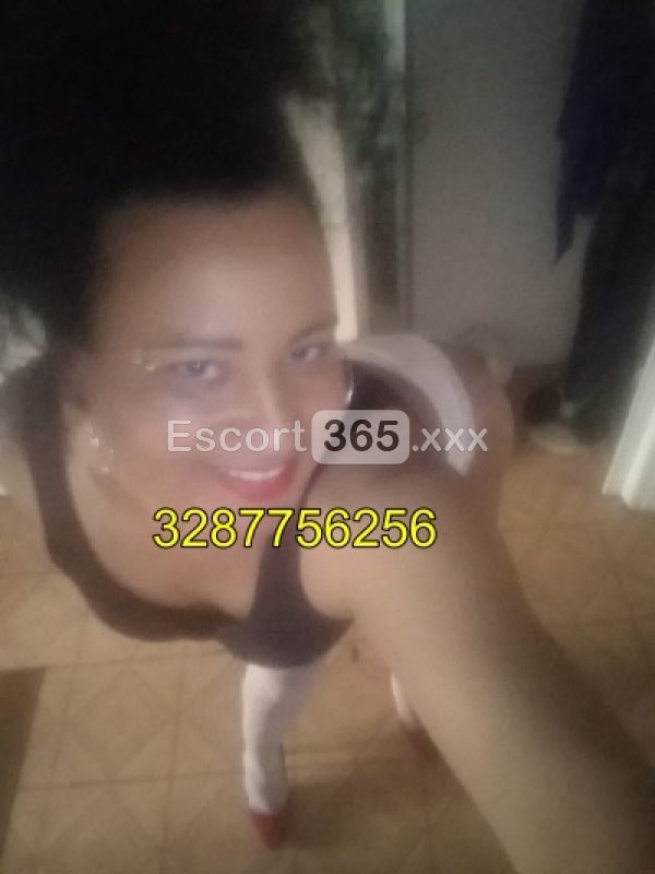 Regina Tx: Femminile e Instancabile - Trans a Viareggio - Foto 3