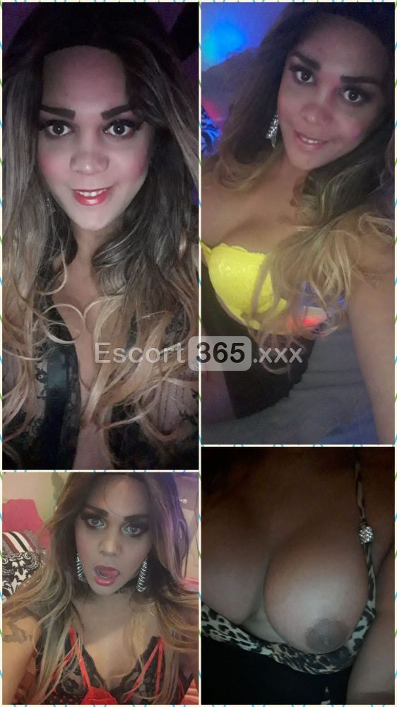 Francesca: Irresistibile - Trans a Alessandria - Foto 11