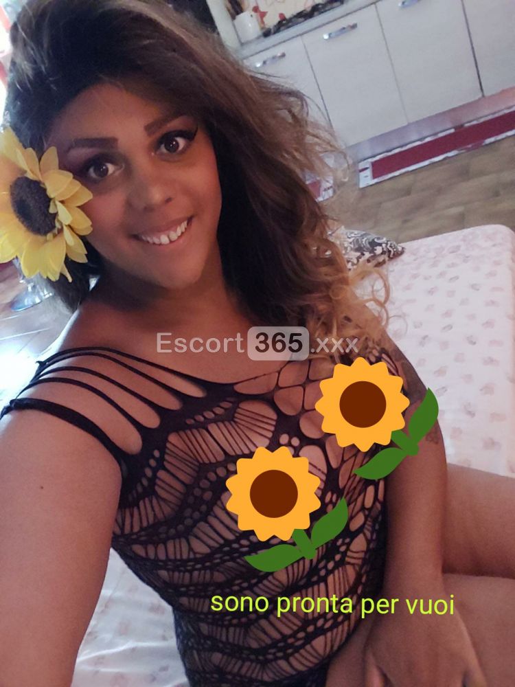 Francesca: Irresistibile - Trans a Alessandria - Foto 14