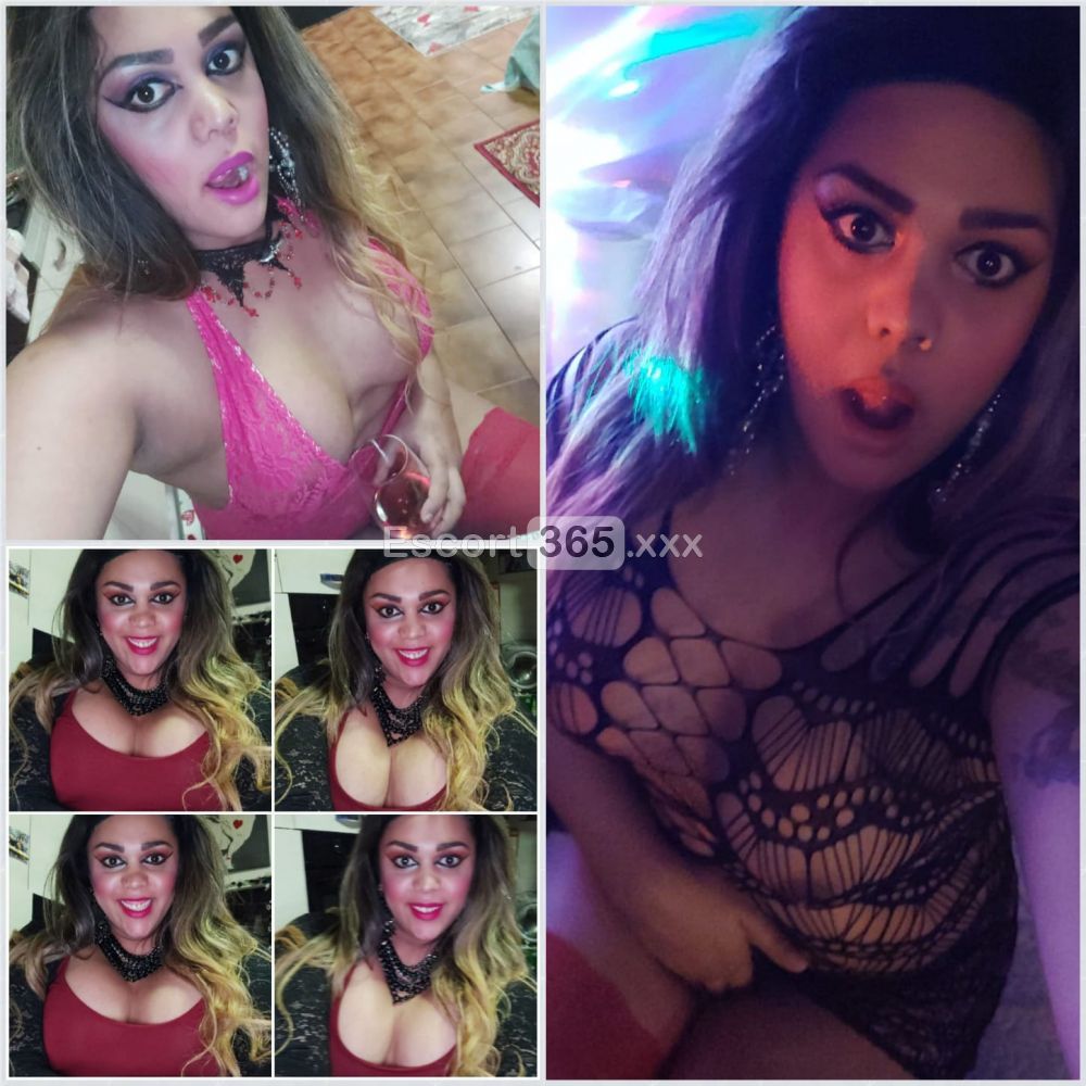 Francesca: Irresistibile - Trans a Alessandria - Foto 4