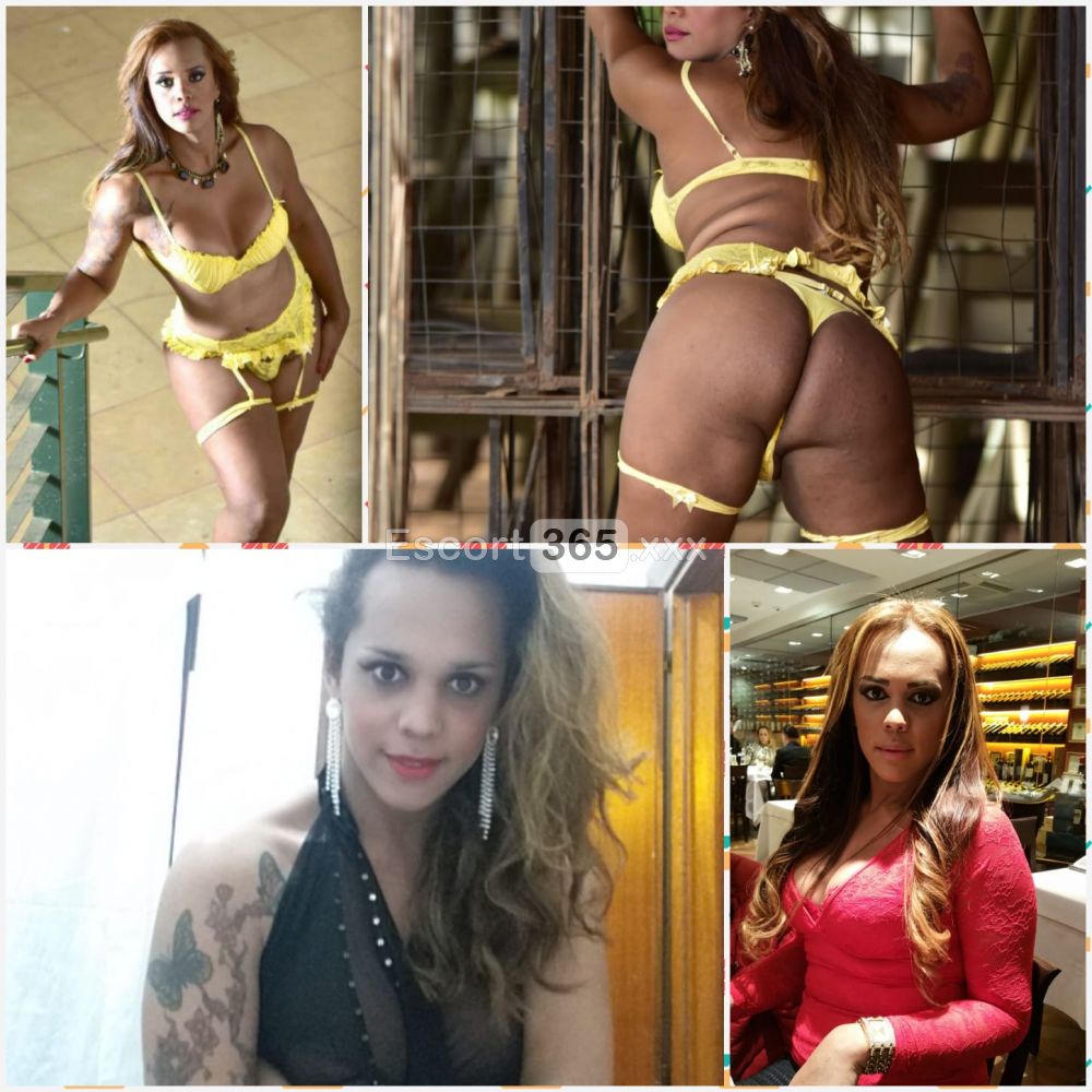 Francesca: Irresistibile - Trans a Alessandria - Foto 5