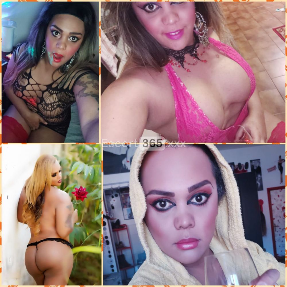 Francesca: Irresistibile - Trans a Alessandria - Foto 8