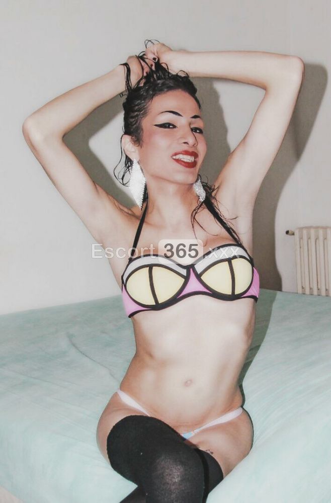 Lorena: Femminile ed Eccitante - Trans a Novara - Foto 9