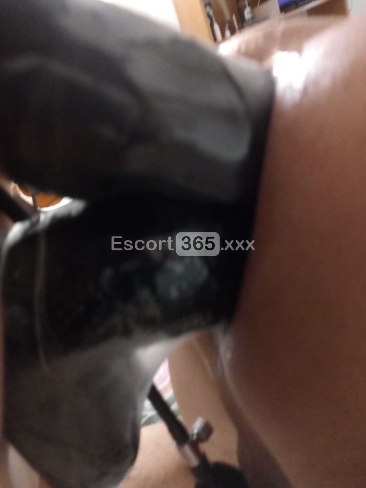 Lady Roberta: Estrema e Autoritaria - Mistress a Siena - Foto 25