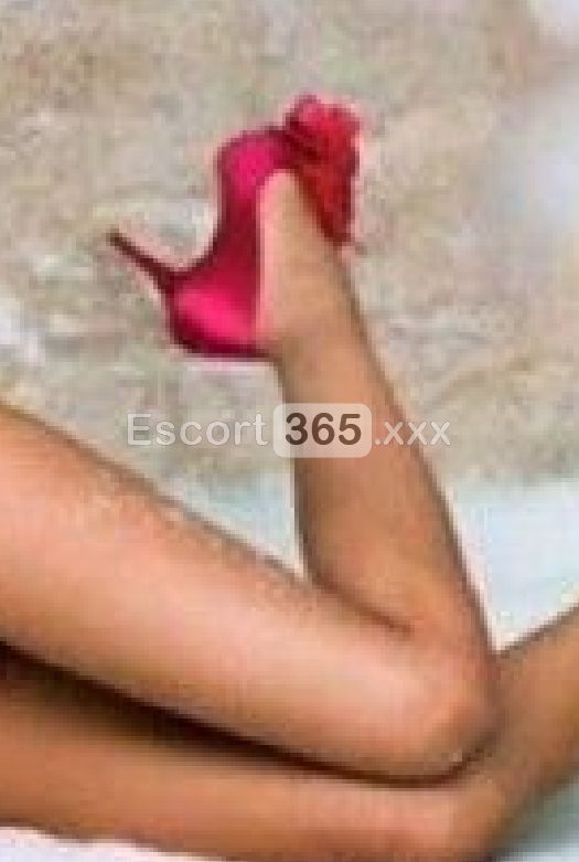 Paolina Bolognese - Massaggi Erotici a Ravenna - Foto 3