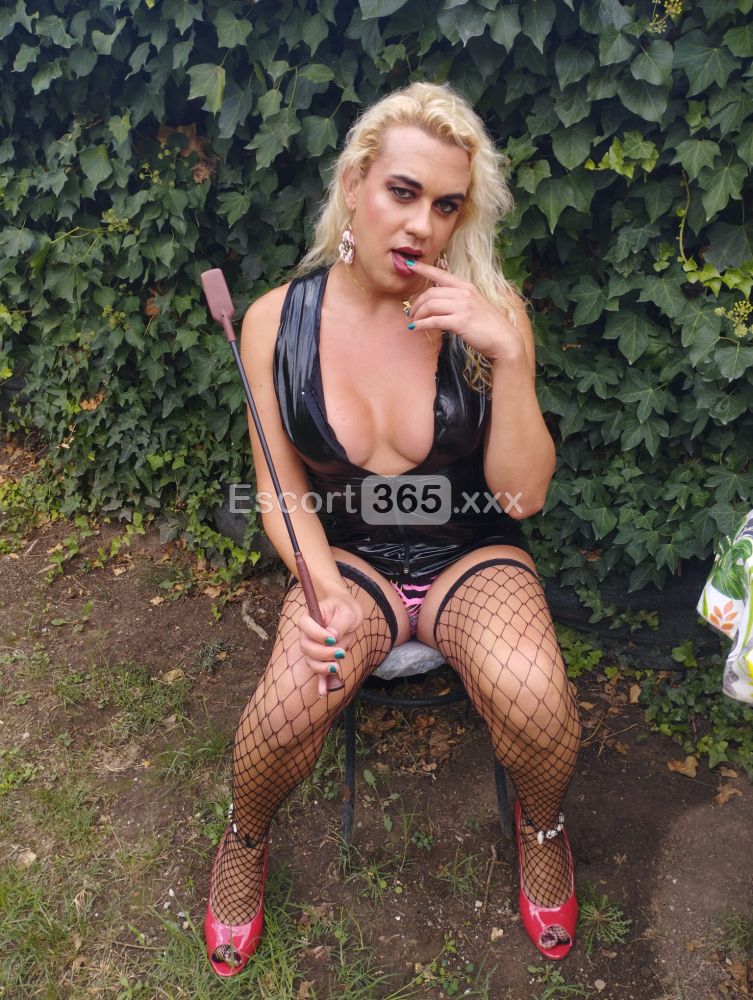 Giada: Femminile e Sensuale - Trans a Viterbo - Foto 9