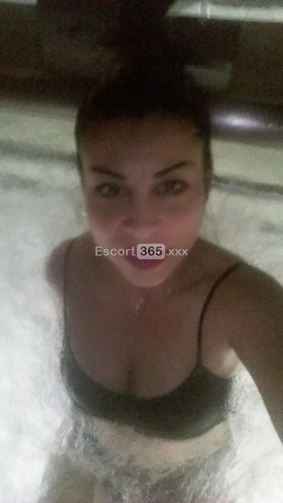 Sofia Bomber Pornostar - Pornostar a Aprilia - Foto 9
