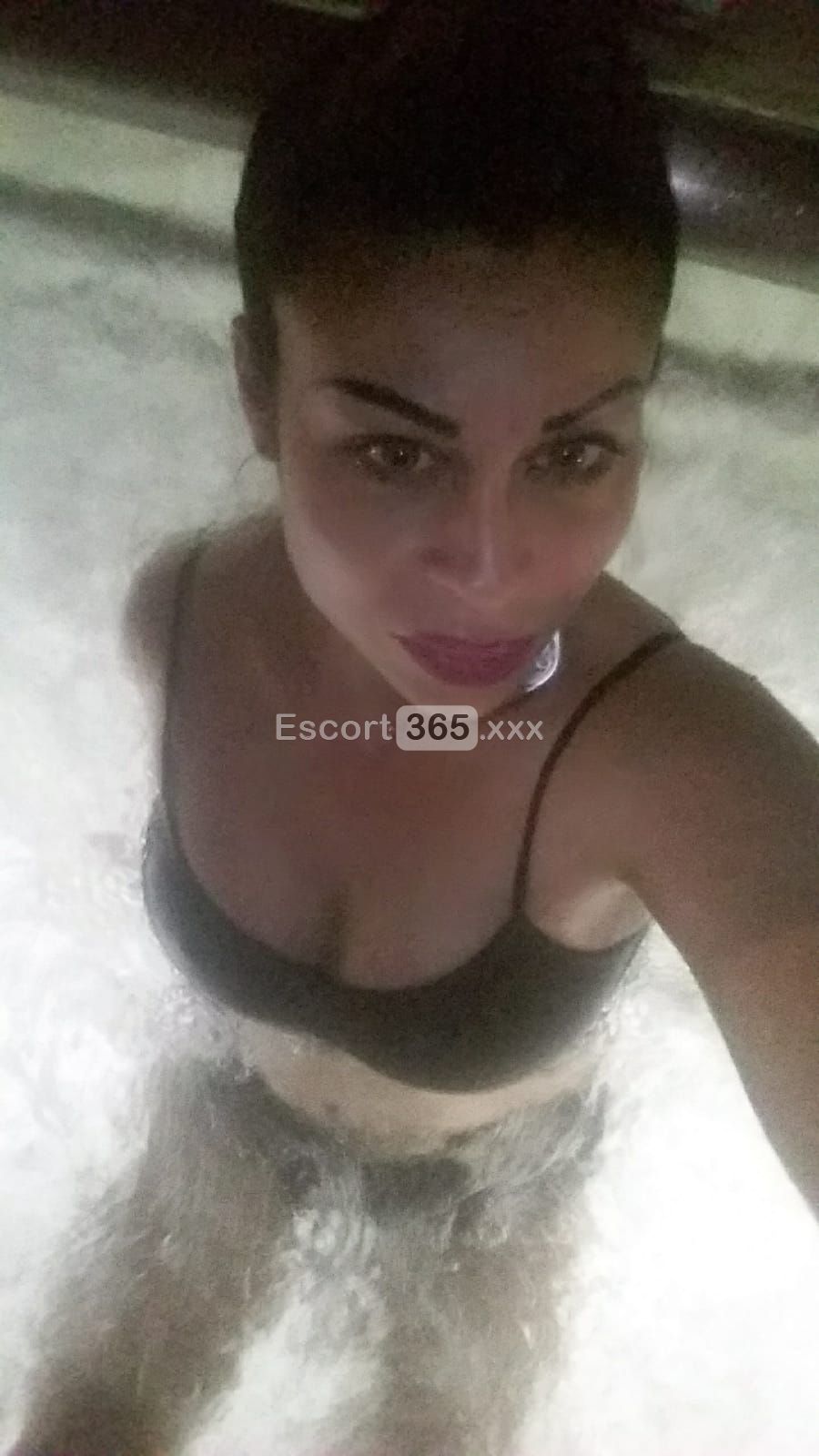 Sofia Bomber Pornostar - Pornostar a Aprilia - Foto 7