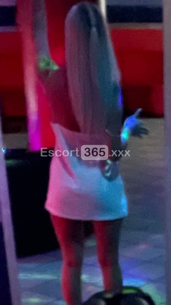 Stella: Intrigante e Raffinata - Vip Escort a Sondrio - Foto 50