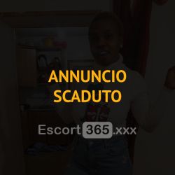 Sexy Pussy: Esperta Escort Mogliano Veneto: annunci, incontri e recensioni reali di Vip Escort, Escort, Pornostar, Trans, Massaggi, Mistress, Coppie e Orientali.