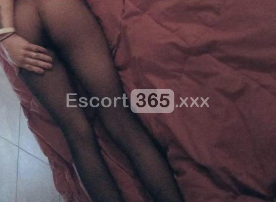 Jasmin: Passionale e Ricercata - Escort a Lucca - Foto 1