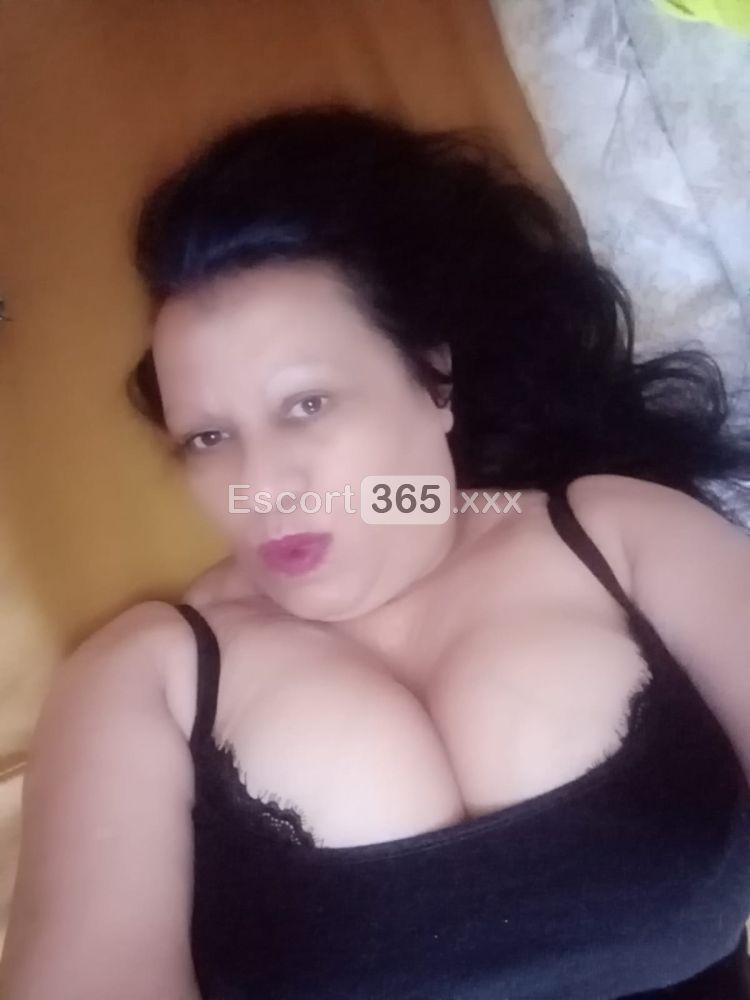 Gattina: Affettuosa e Solare - Escort a Mombercelli - Foto 2